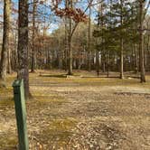 Review photo of Lake Frierson State Park Campground by Shana D., February 8, 2021