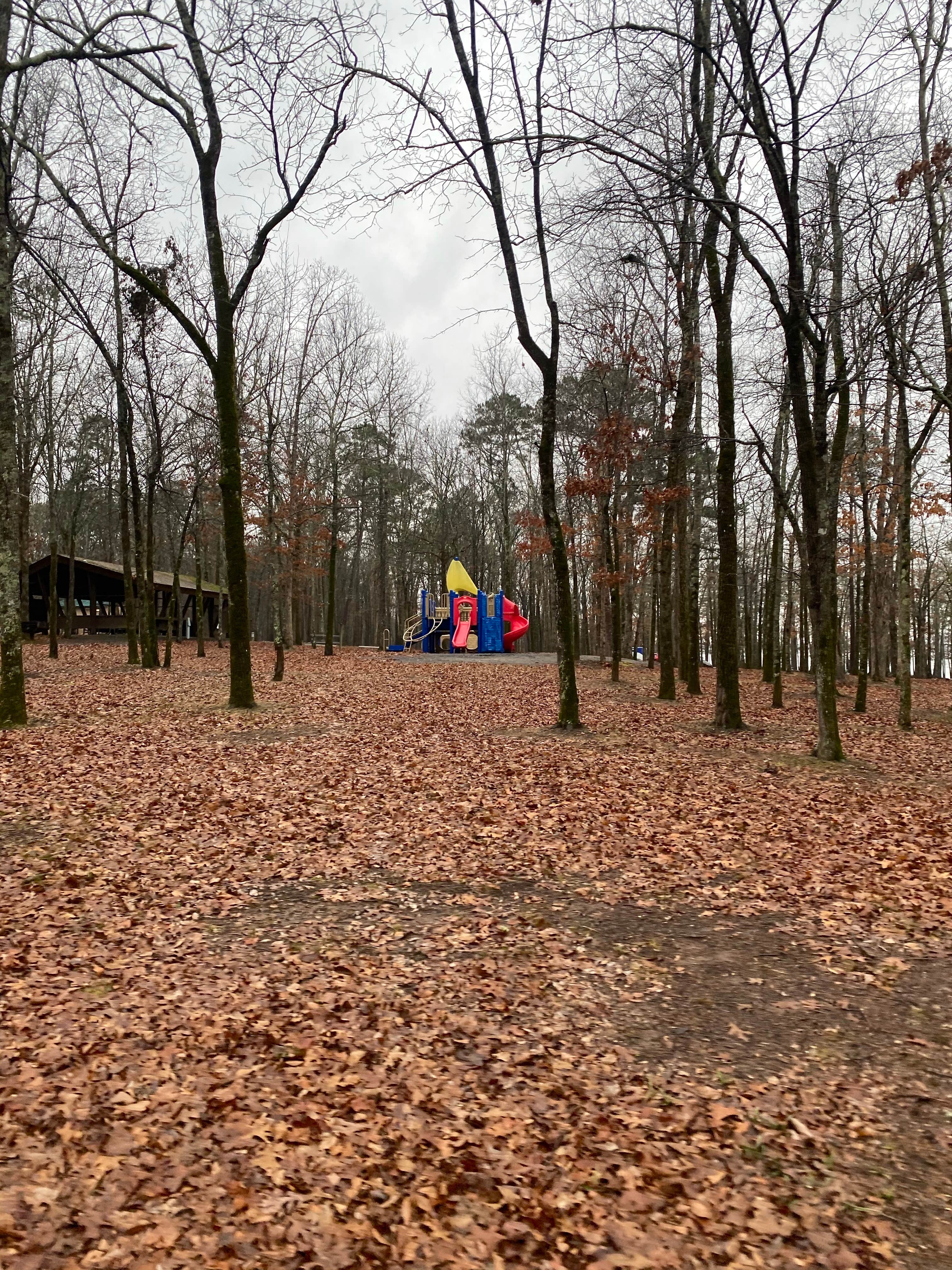 Camper-submitted photo at COE Greers Ferry Lake Devil's Fork Campground near Greers Ferry Lake