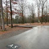 Review photo of COE Greers Ferry Lake Devil's Fork Campground by Shana D., February 8, 2021