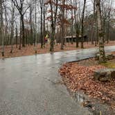 Review photo of COE Greers Ferry Lake Devil's Fork Campground by Shana D., February 8, 2021