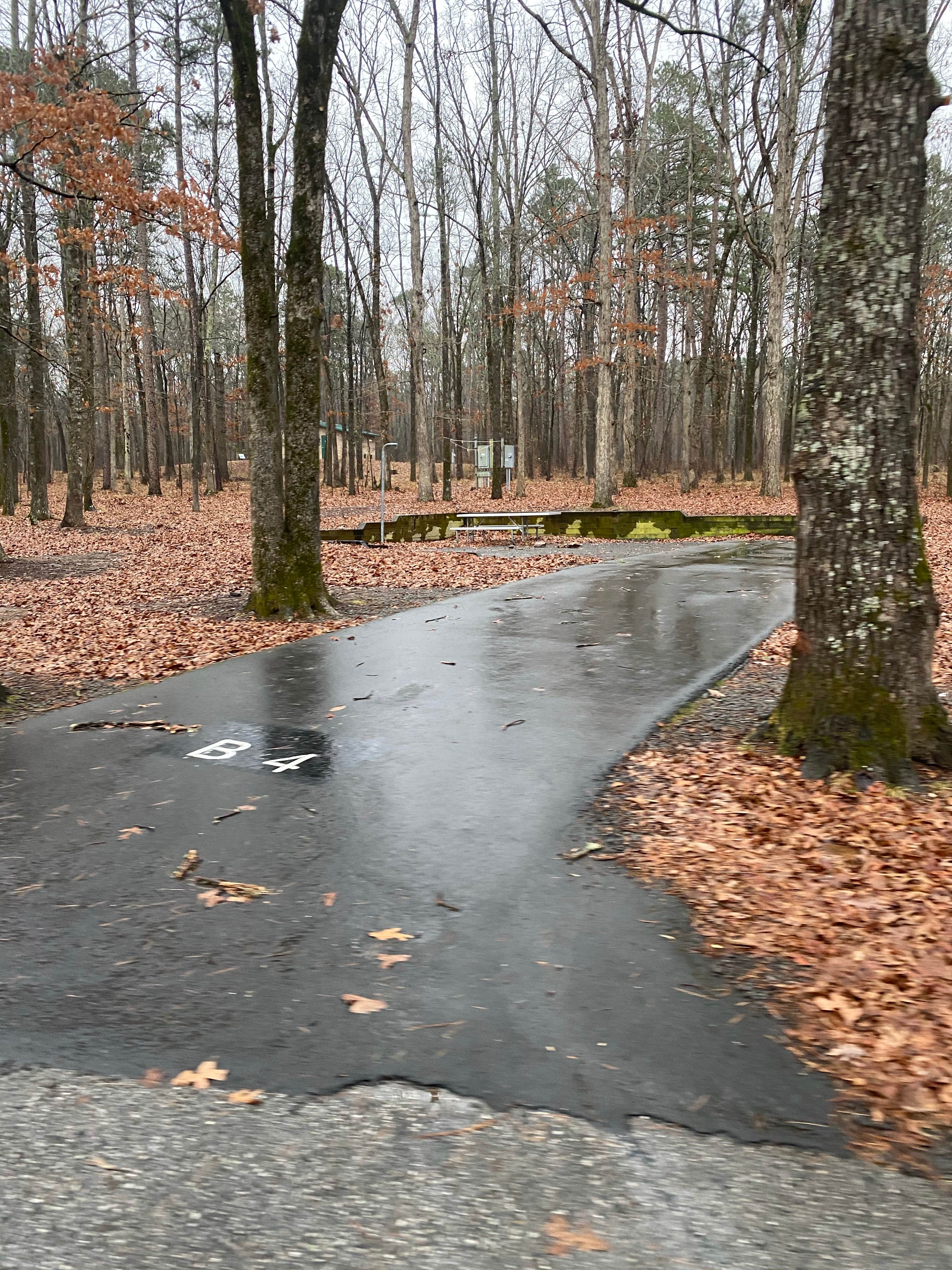 Camper-submitted photo at COE Greers Ferry Lake Devil's Fork Campground near Greers Ferry Lake