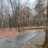 Review photo of COE Greers Ferry Lake Devil's Fork Campground by Shana D., February 8, 2021