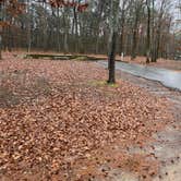 Review photo of COE Greers Ferry Lake Devil's Fork Campground by Shana D., February 8, 2021