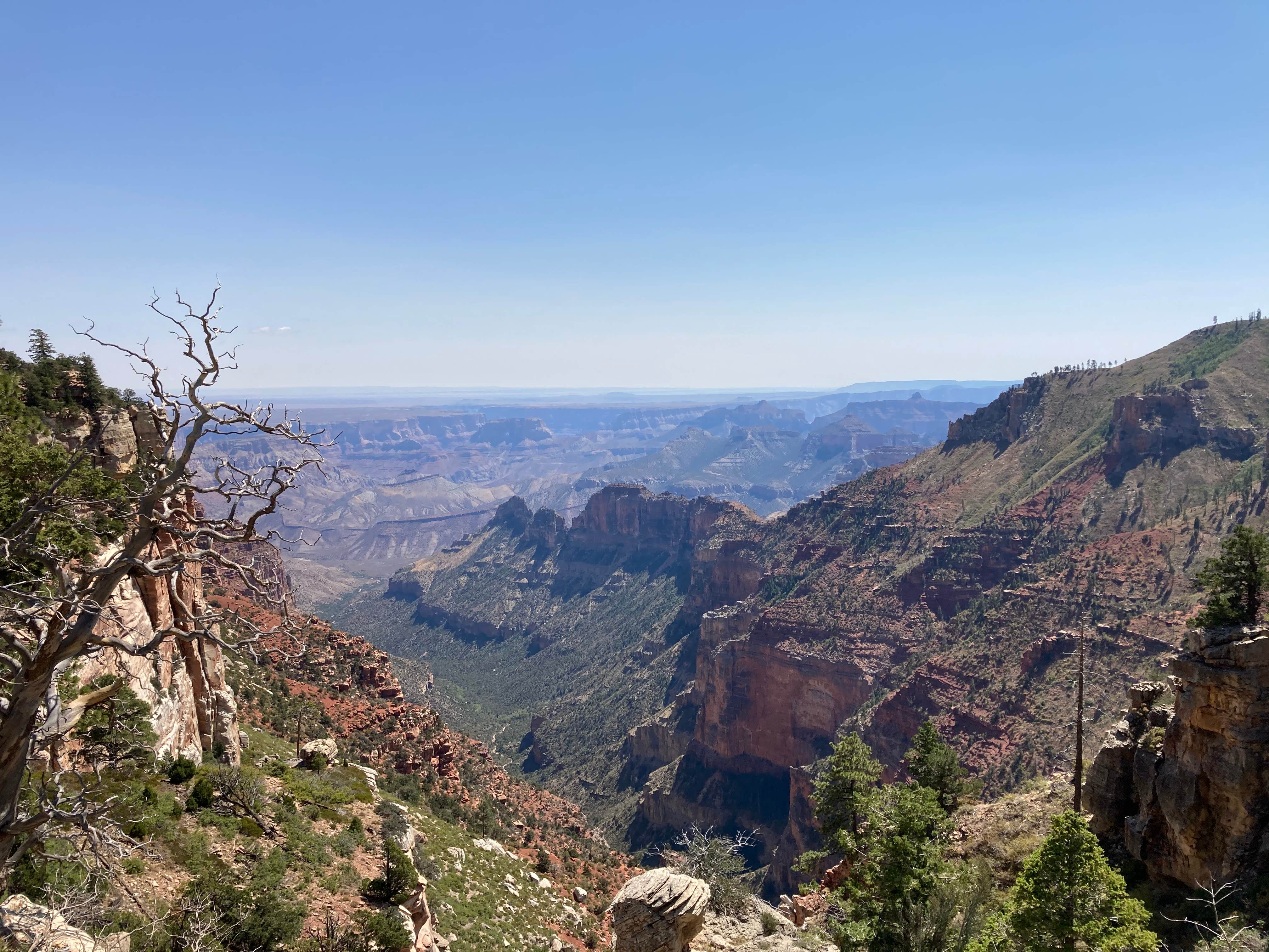 Camper-submitted photo at Saddle Mountain (Kaibab NF) near Supai, AZ
