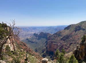 Saddle Mountain (Kaibab NF)