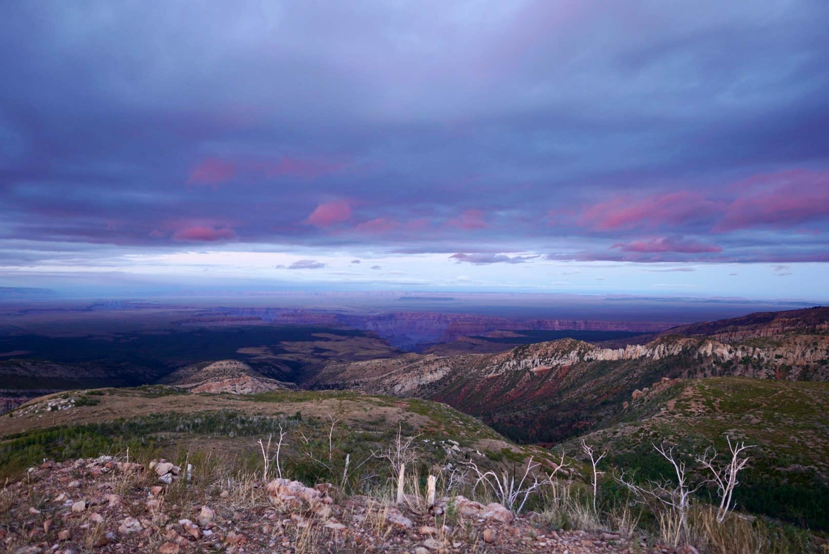 Camper-submitted photo at Saddle Mountain (Kaibab NF) near Supai, AZ