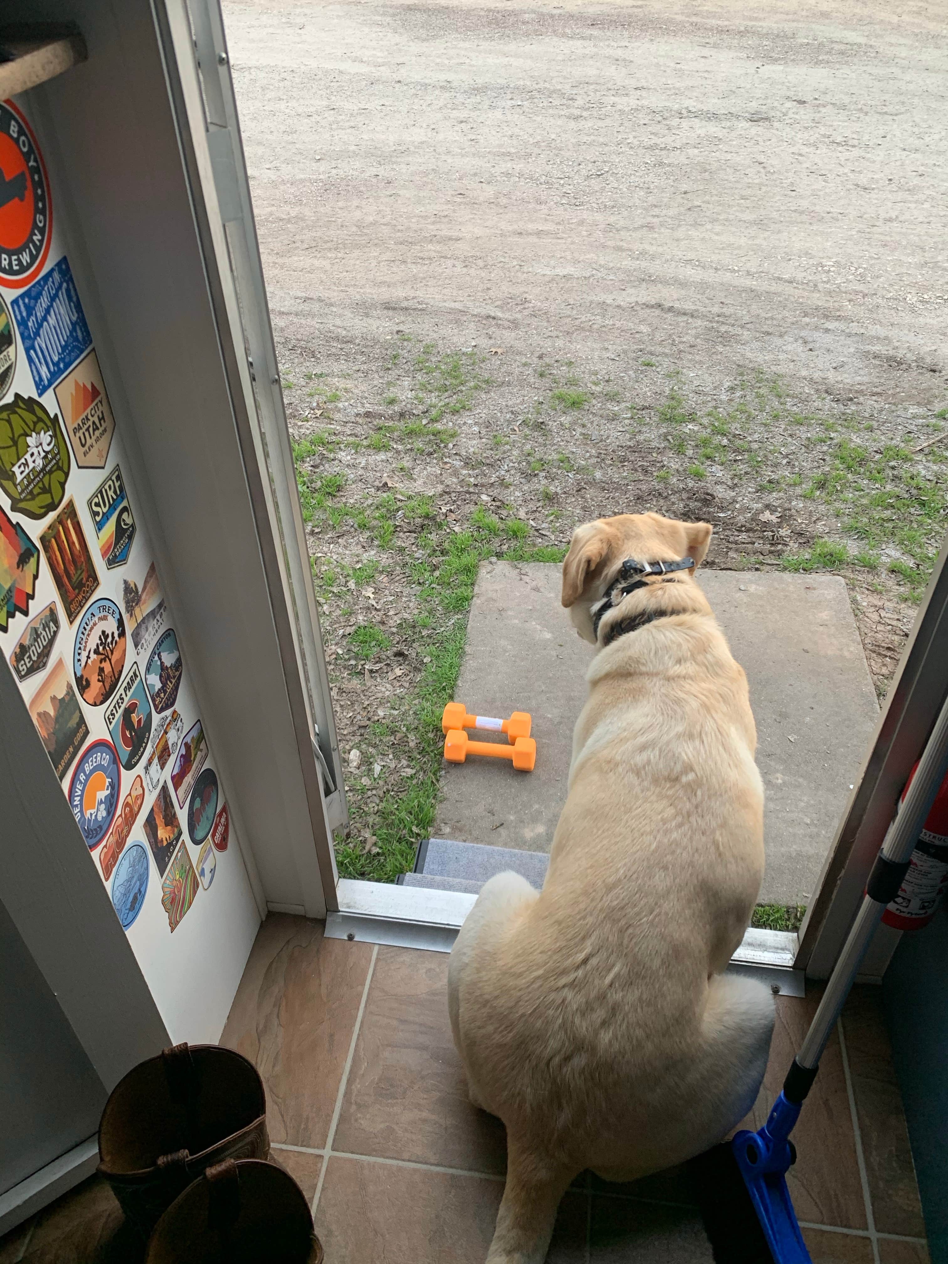 Carlyne F.'s photo of camping with pets at Riverview Campground near Navarro Mills Lake