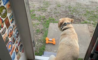 Carlyne F.'s photo of camping with pets at Riverview Campground in Texas