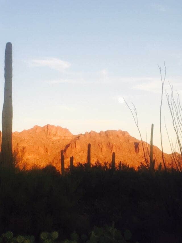 Camper-submitted photo at Manning Camp — Saguaro National Park near Oro Valley, AZ