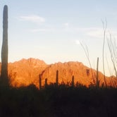 Review photo of Manning Camp — Saguaro National Park by Chloe D., May 28, 2018