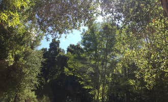 Camping near Waterman Gap Trail Camp — Castle Rock State Park: Lupin Lodge Nudist Resort, Los Gatos, California