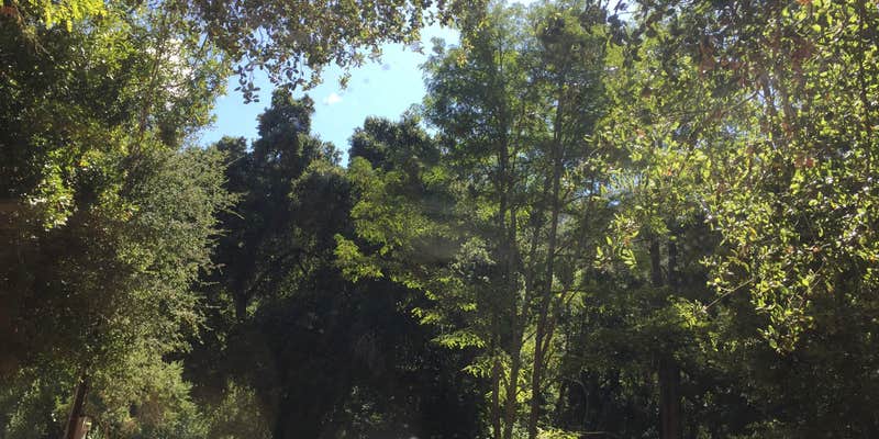 Camper submitted image from Lupin Lodge Nudist Resort