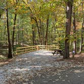 Review photo of Big Hill Pond State Park Campground by Shana D., February 9, 2021