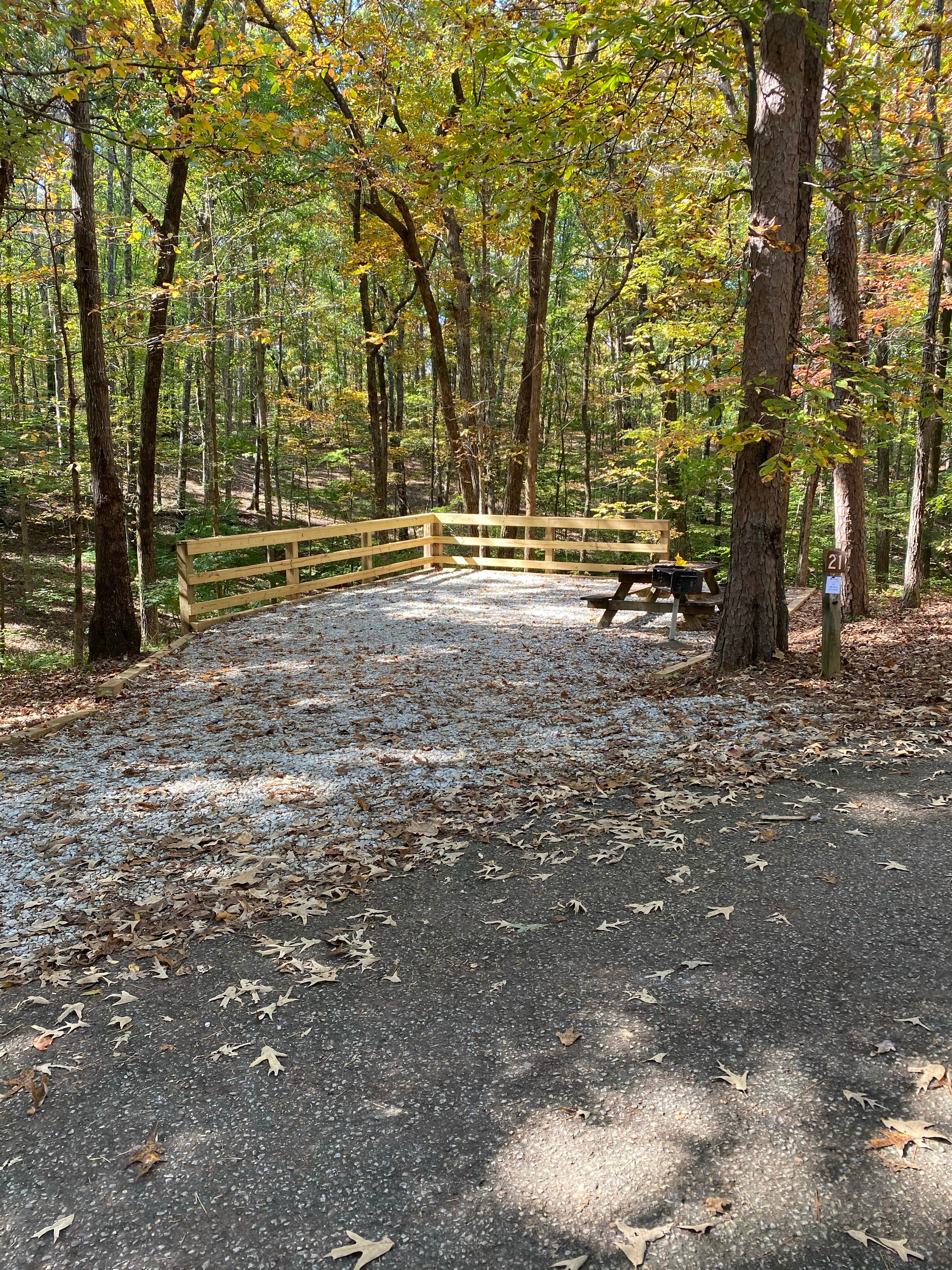 Camper submitted image from Big Hill Pond State Park Campground - 3