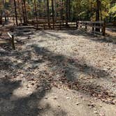 Review photo of Big Hill Pond State Park Campground by Shana D., February 9, 2021