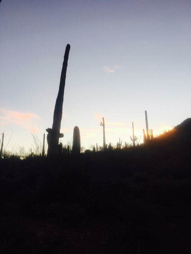 Camper-submitted photo at Manning Camp — Saguaro National Park near Oro Valley, AZ