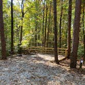 Review photo of Big Hill Pond State Park Campground by Shana D., February 9, 2021