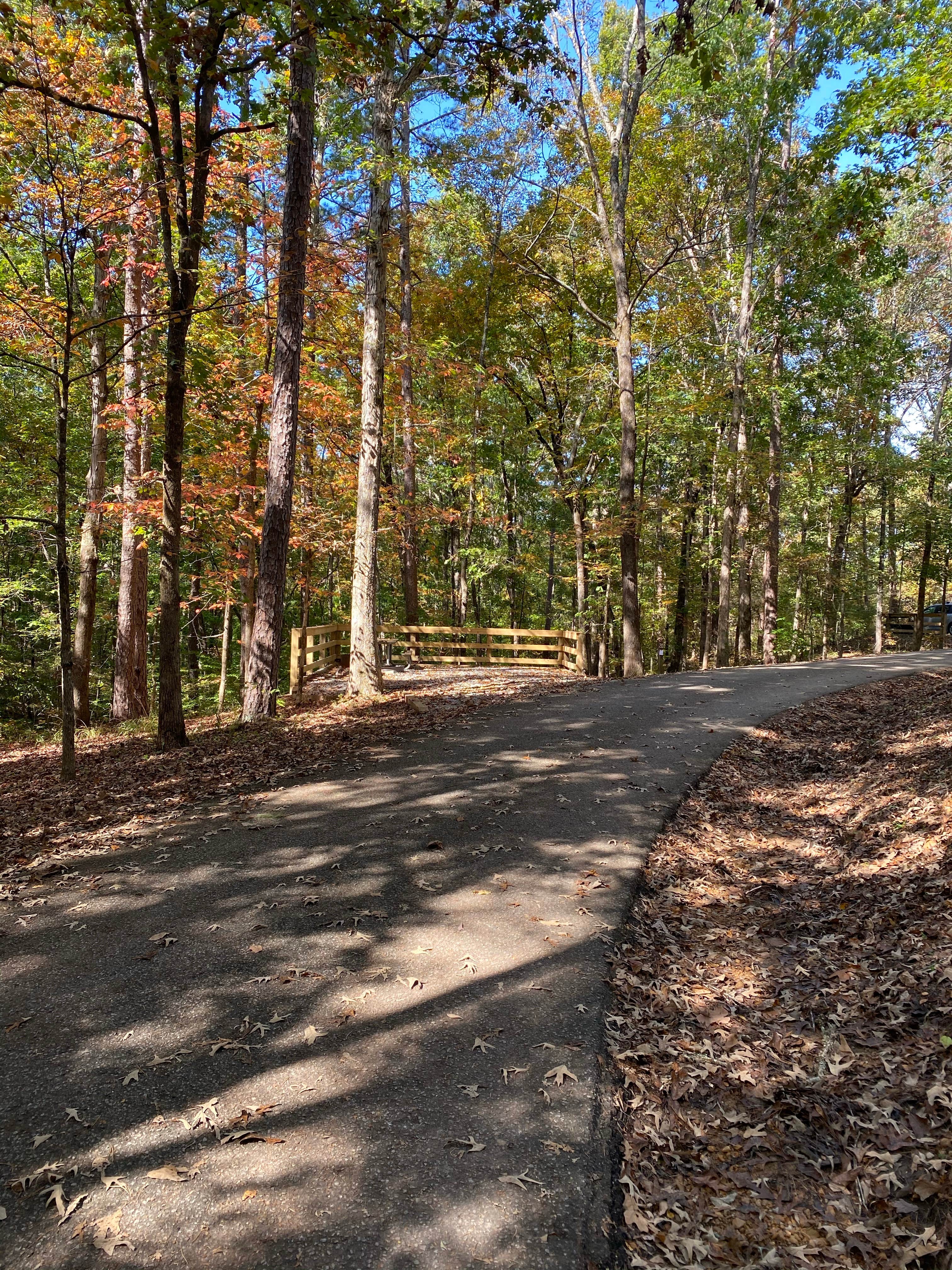 Camper-submitted photo at Big Hill Pond State Park Campground near Pinson, TN