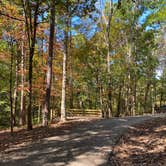 Review photo of Big Hill Pond State Park Campground by Shana D., February 9, 2021