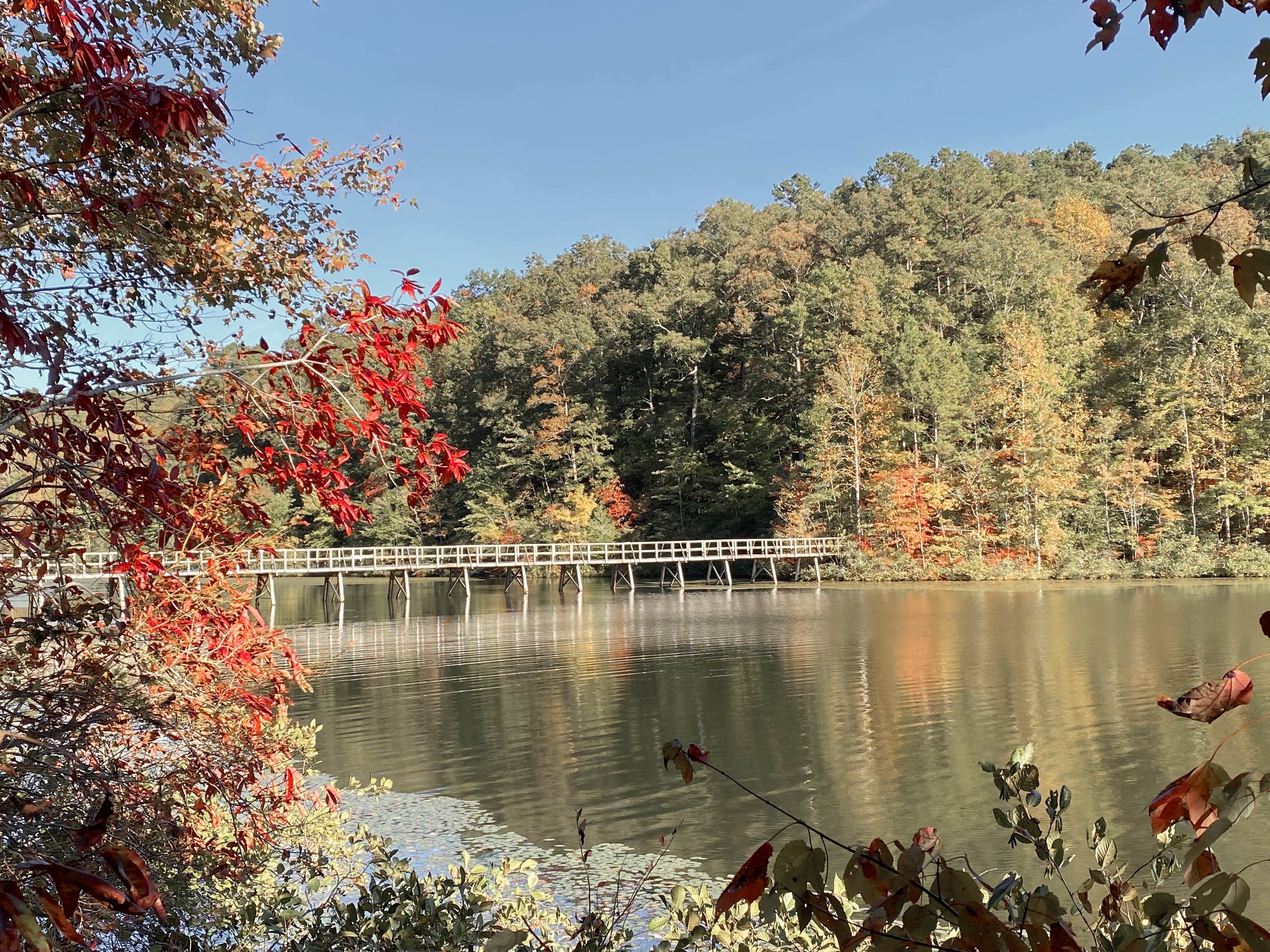 Camper submitted image from Big Hill Pond State Park Campground - 5