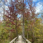 Review photo of Big Hill Pond State Park Campground by Shana D., February 9, 2021