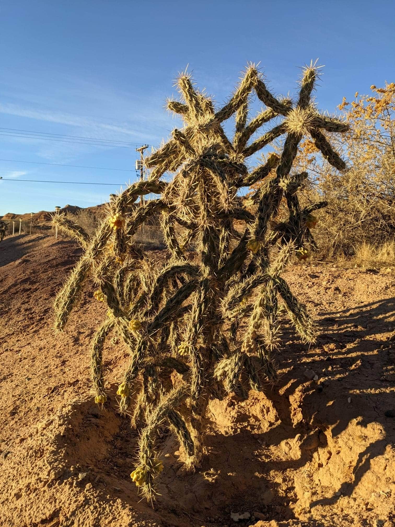Camper-submitted photo at La Vista RV Park near Polvadera, NM