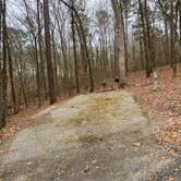 Review photo of J.P. Coleman State Park Campground by Shana D., February 9, 2021