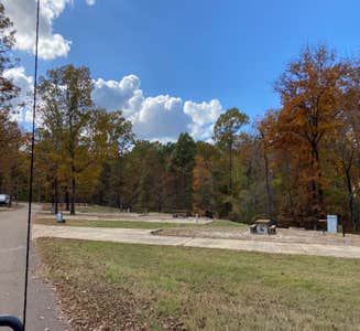 Camper-submitted photo from EZ Daze RV Park