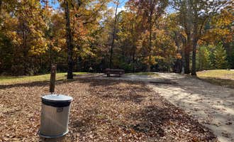 Camping near Wyatt Crossing Concessionaire: Pats Bluff, Sardis, Mississippi