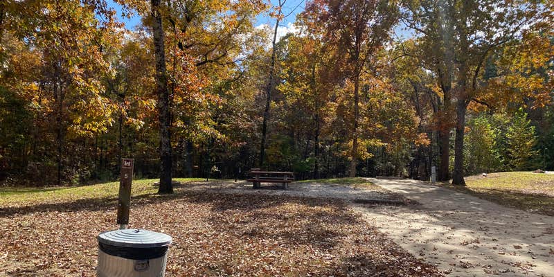 Camper submitted image from Pats Bluff