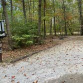 Review photo of Monte Sano State Park Campground by Shana D., February 9, 2021