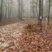Review photo of Monte Sano State Park Campground by Shana D., February 9, 2021