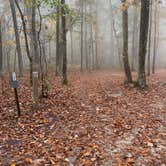 Review photo of Monte Sano State Park Campground by Shana D., February 9, 2021