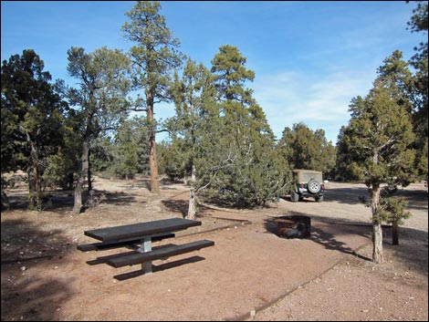 Camper submitted image from Desert Pass Campground - 1