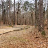 Review photo of Pickwick Landing State Park Campground by Shana D., February 9, 2021