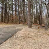 Review photo of Pickwick Landing State Park Campground by Shana D., February 9, 2021