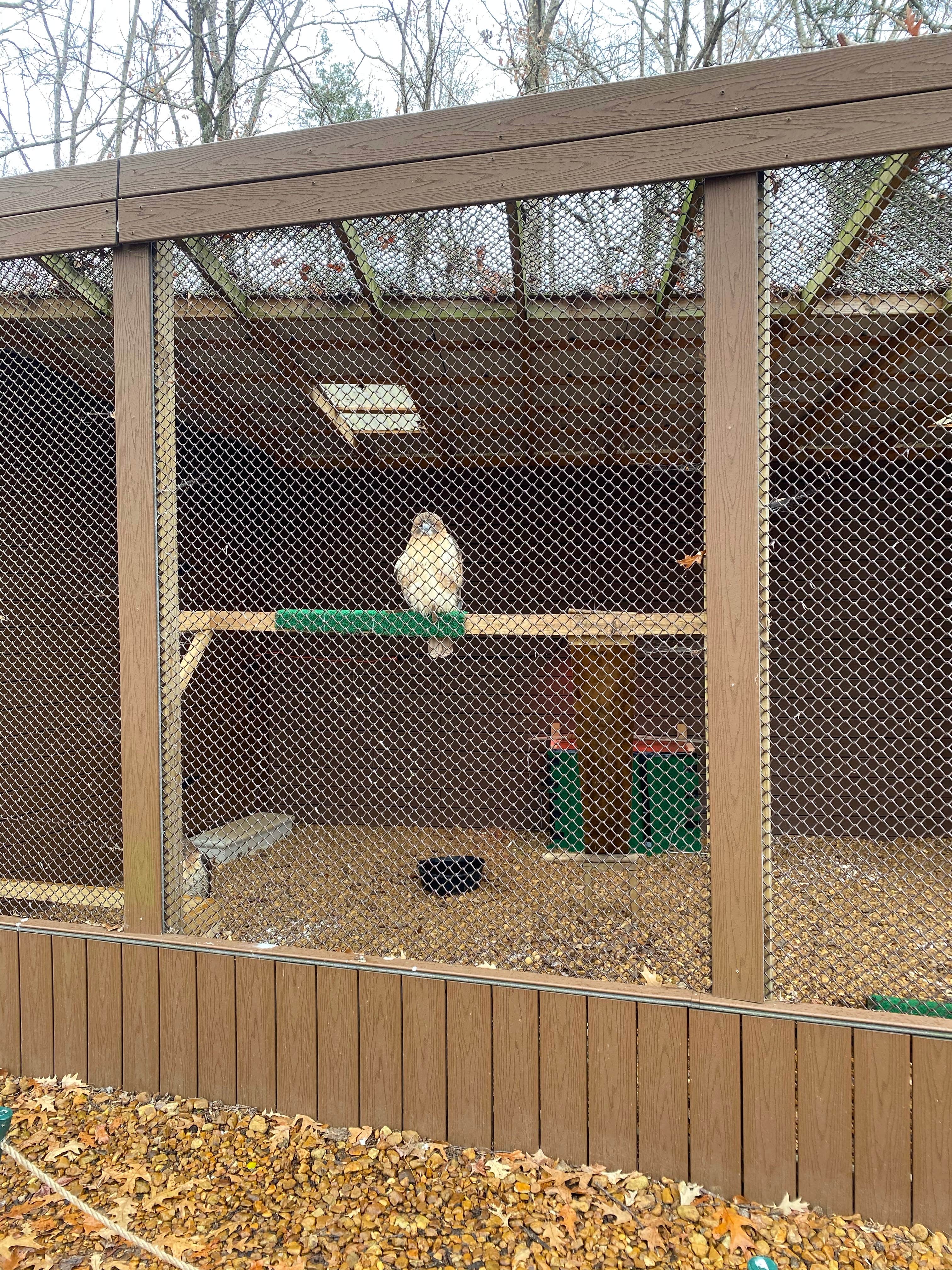 Shana D.'s photo of camping with pets at Pickwick Landing State Park Campground near Cherokee, AL