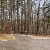 Review photo of Pickwick Landing State Park Campground by Shana D., February 9, 2021