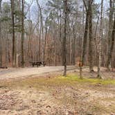 Review photo of Pickwick Landing State Park Campground by Shana D., February 9, 2021