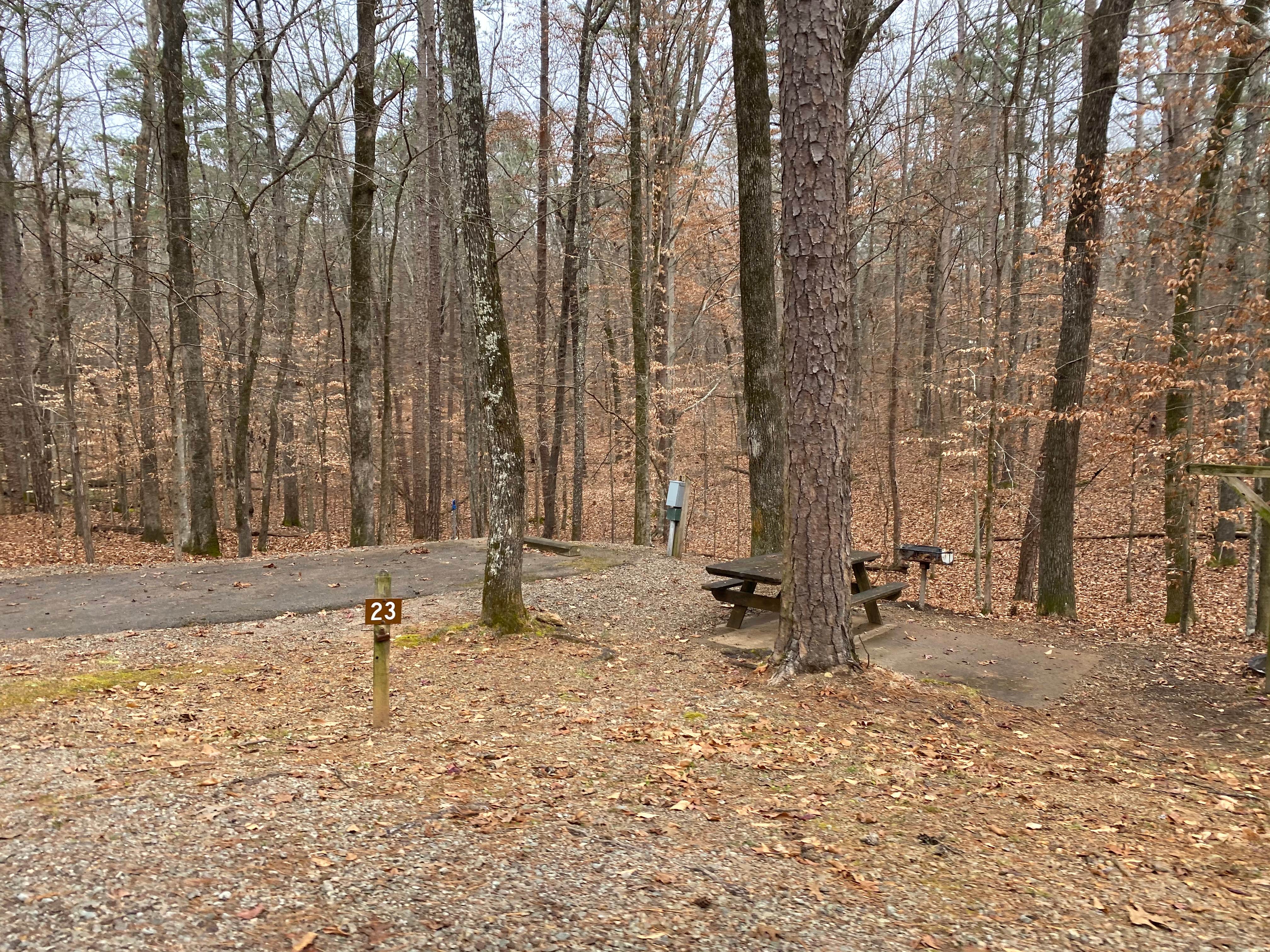 Camper-submitted photo at Pickwick Landing State Park Campground near Natchez Trace Parkway