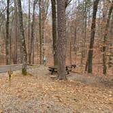 Review photo of Pickwick Landing State Park Campground by Shana D., February 9, 2021