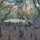 Review photo of Hillsborough River State Park Campground by Aila R., February 9, 2021