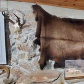 Review photo of Bridger Bay - Antelope Island State Park by Steven M., February 9, 2021