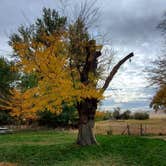 Review photo of Bridger Bay Campground — Antelope Island State Park by Steven M., February 9, 2021