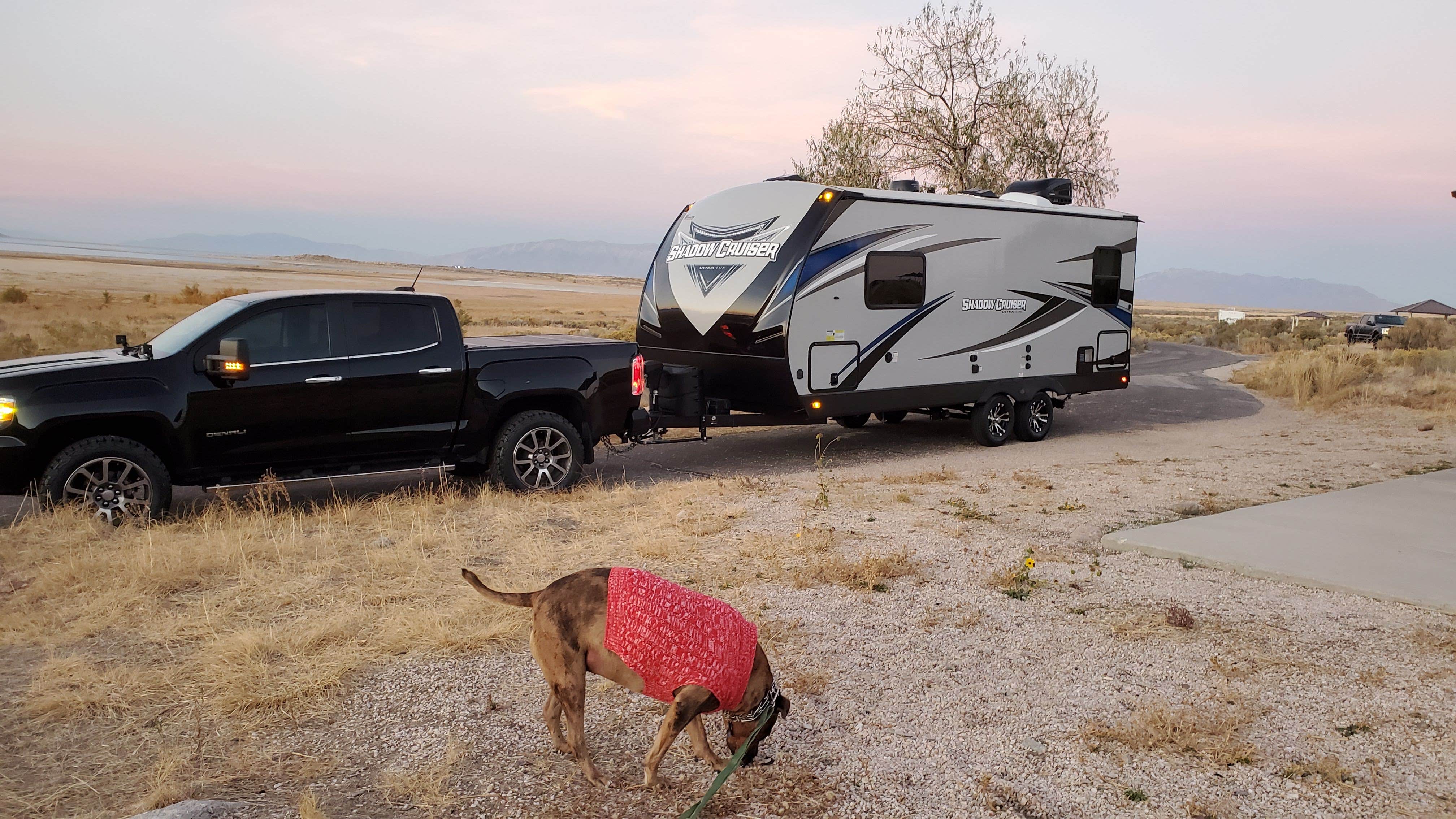Steven M.'s photo of camping with pets at Bridger Bay Campground — Antelope Island State Park near Fruit Heights, UT