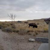 Review photo of Bridger Bay Campground — Antelope Island State Park by Steven M., February 9, 2021