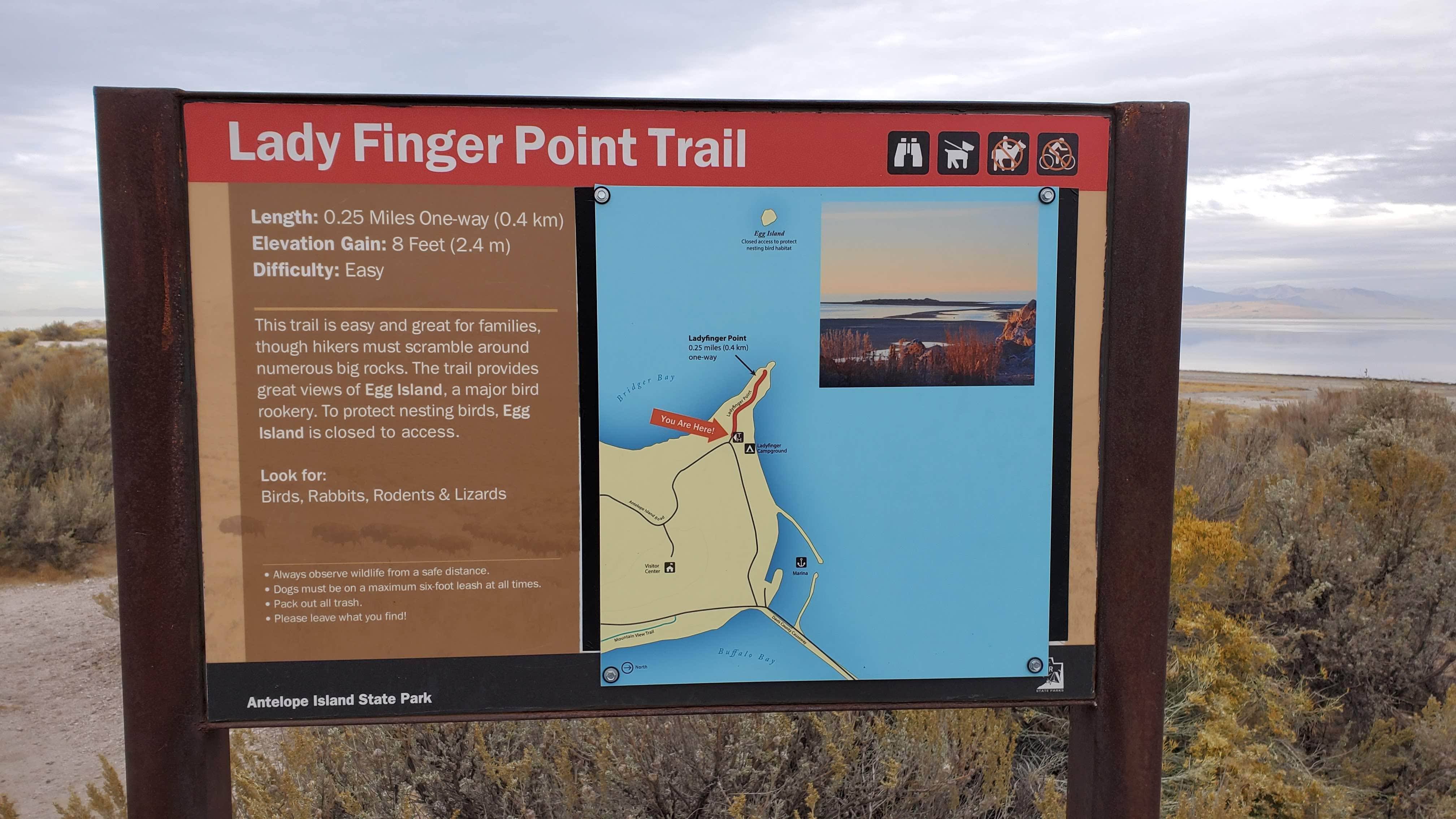 Camper-submitted photo at Bridger Bay Campground — Antelope Island State Park near Uinta-Wasatch-Cache National Forest