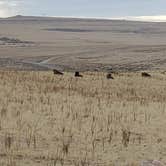 Review photo of Bridger Bay Campground — Antelope Island State Park by Steven M., February 9, 2021