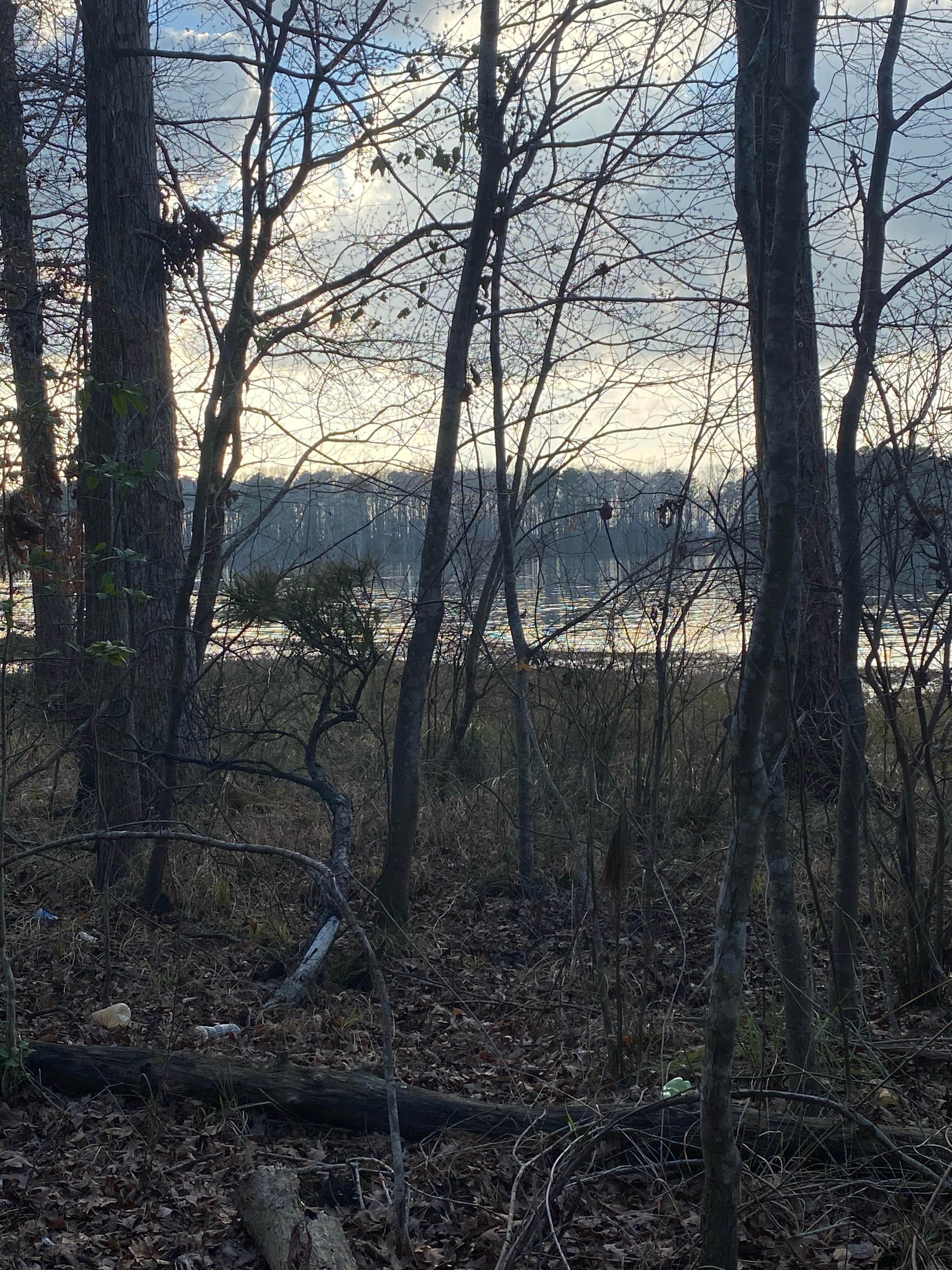 Camper-submitted photo at Jimmie Davis State Park Campground near Homer, LA