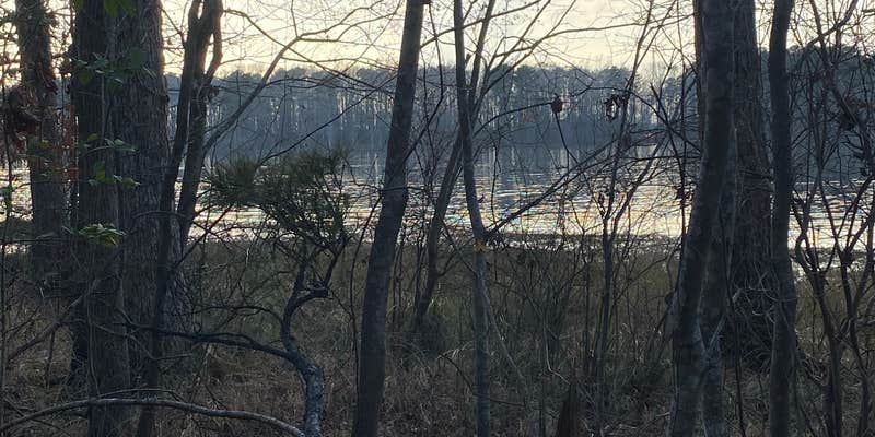 Camper submitted image from Jimmie Davis State Park Campground